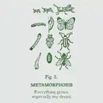 Metamorphosis, Everything Grows, Especially My Dread - Blank Greeting Card 