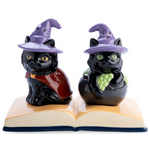 Witch Black Cats & Book - Ceramic Salt and Pepper Shakers