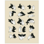 Shadow Puppets - Blank Greeting Card