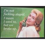 We Broke Up - Funny Fridge Magnet - Retro Humour