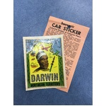 VINTAGE Souvenir Car Sticker Decal - Darwin NT