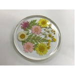 Round Resin Drinks Coaster w Real Flowers - Daisy Meadow