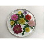 Round Resin Drinks Coaster w Real Flowers - Bright Bunch