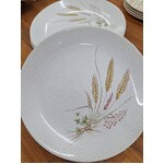 RETRO Roydon Harvest NZ Entree Plates - No 761 - x 6 - Brick & Wheat 