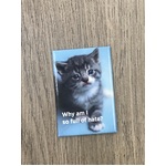 Why Am I So Full of Hate? - Funny Fridge Magnet - Cat - Retro Humour