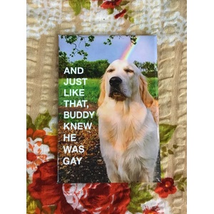 And Just Like That, Buddy Knew He Was Gay - Funny Fridge Magnet 