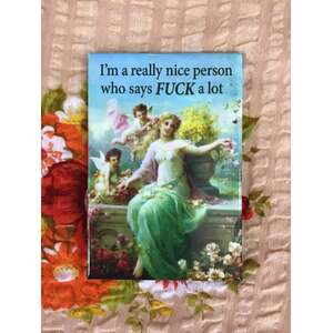 I'm A Really Nice Person - Funny Fridge Magnet - Retro Humour