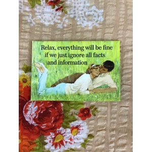 Ignore All Facts And Information - Funny Fridge Magnet - Retro Humour