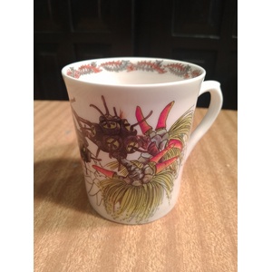 Philippa Nikulinsky Australian Fine China Mug - Eucalyptus Bennettiae 