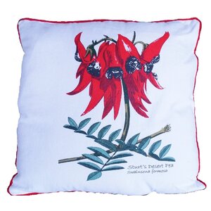 Sturt Desert Pea Cushion Cover | 45cm Square