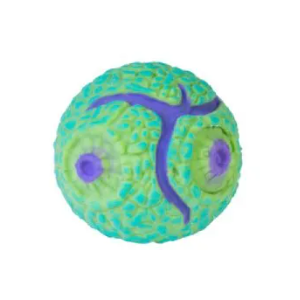 Stretch Meteorite Ball - Squishy Space Smoosho's - Green Blue