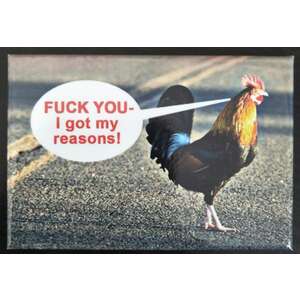 I Got Reasons - Funny Fridge Magnet - Retro Humour