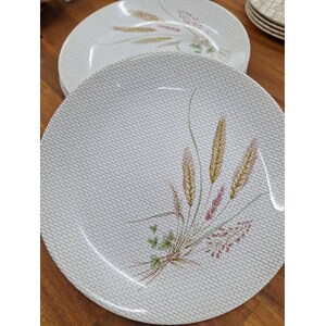 RETRO Roydon Harvest NZ Entree Plates - No 761 - x 6 - Brick & Wheat 