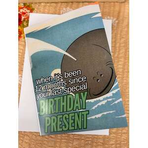 Special Birthday Present - Blank Greeting Card - Funny