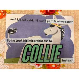 Collie WA - Postcard - I Won't Go To Bunbury Again!